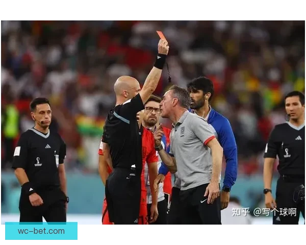 世界杯足球竞猜入口全新指南助你轻松掌握赛场胜负预测技巧